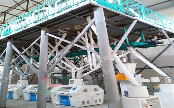 乌兹别克斯坦60吨小麦面粉机