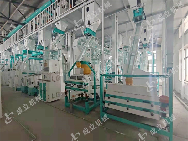 四川50吨大米加工设备投产运行