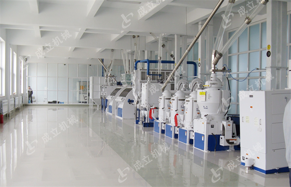 日产200吨成套碾米设备