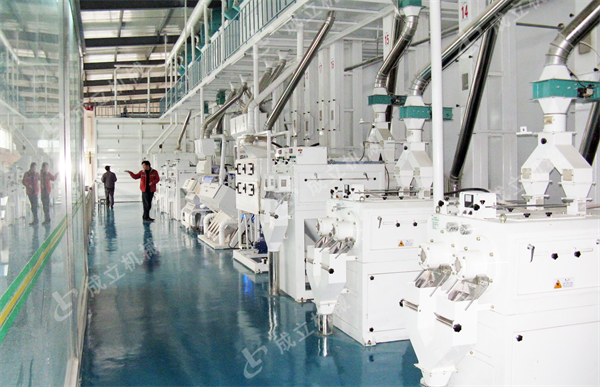 日产250吨成套碾米机设备