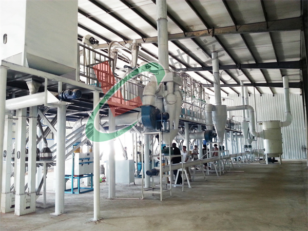 50吨级玉米加工设备