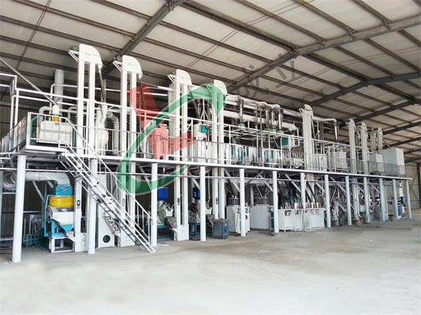 60吨级玉米加工设备